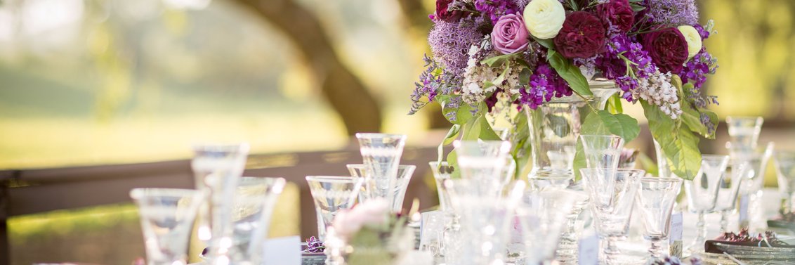 Denise Lillie Engagements banner