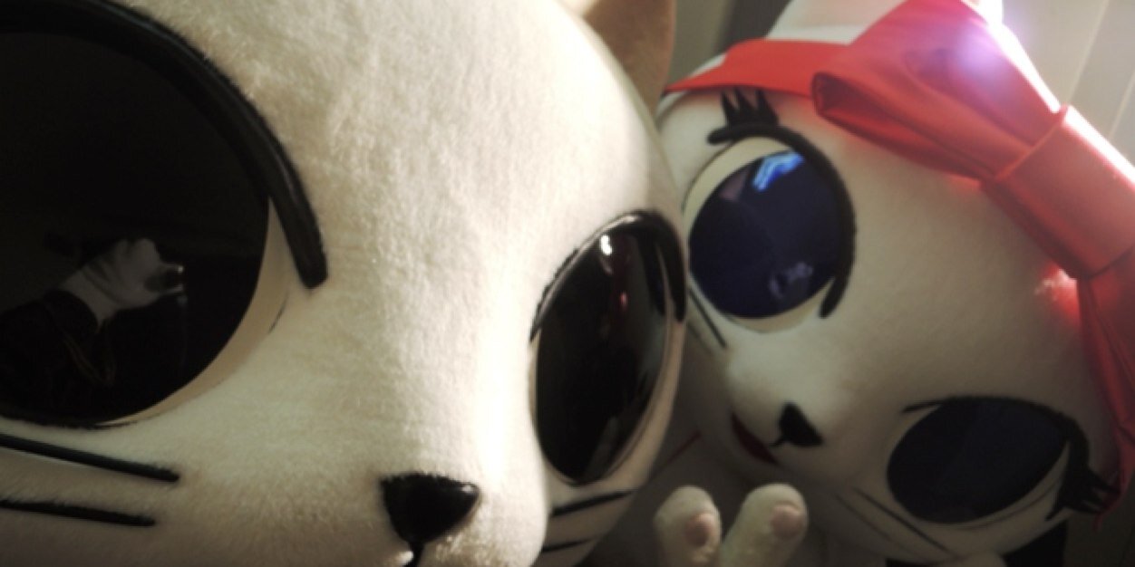 kotusan's profile banner image