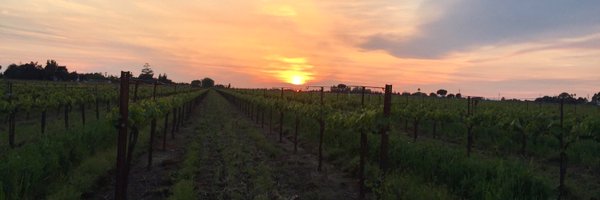 vbarba5 Profile Banner