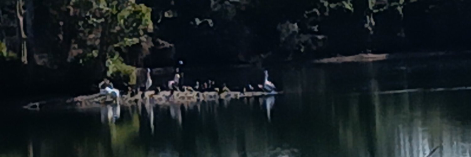 GA68IL's profile banner image