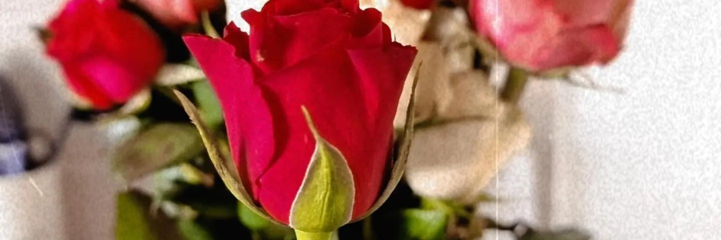 Jay__sa's profile banner image