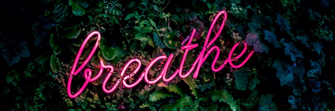 _nithyak_'s profile banner image