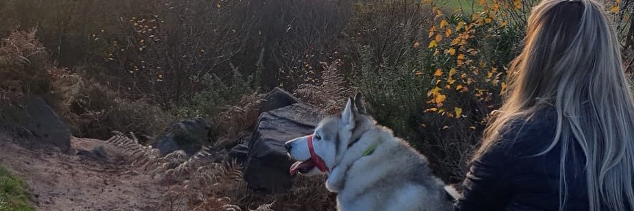 stephaniesarahw's profile banner image