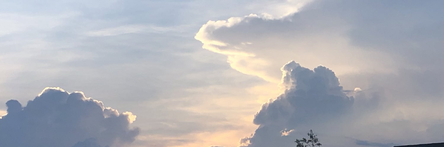 LeeSchultz's profile banner image