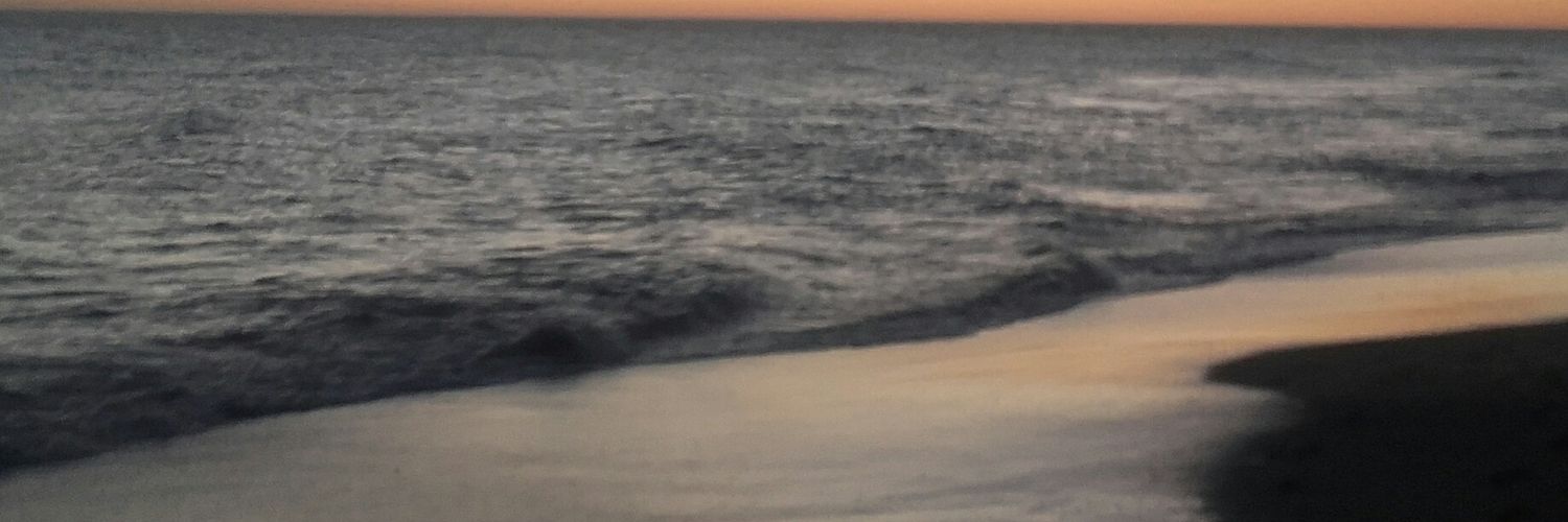 gianninidelmar's profile banner image