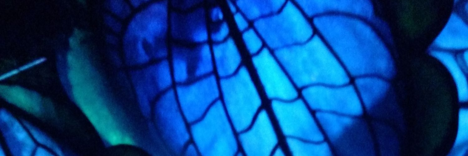 STEAMGranatini's profile banner image