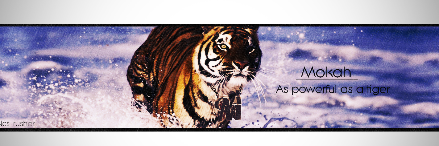 TehMokah's profile banner image