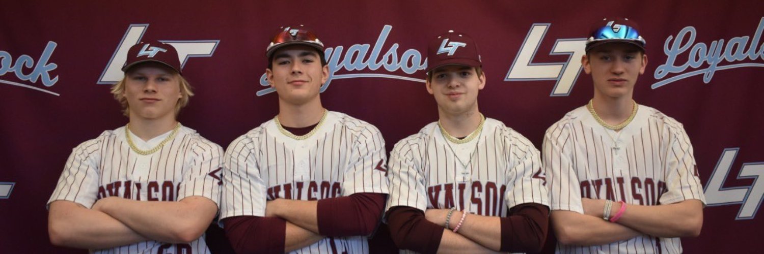 Loyalsock Baseball banner