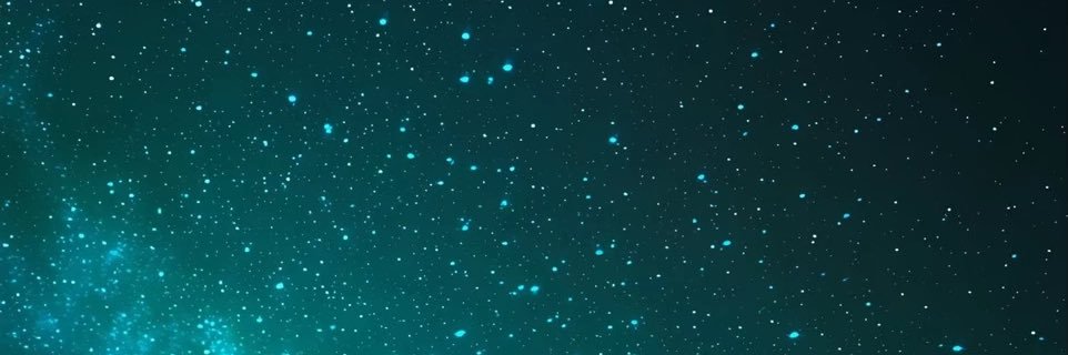 Vaughn Thomas banner