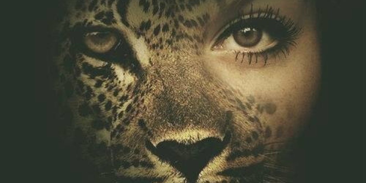 renatevanberne's profile banner image