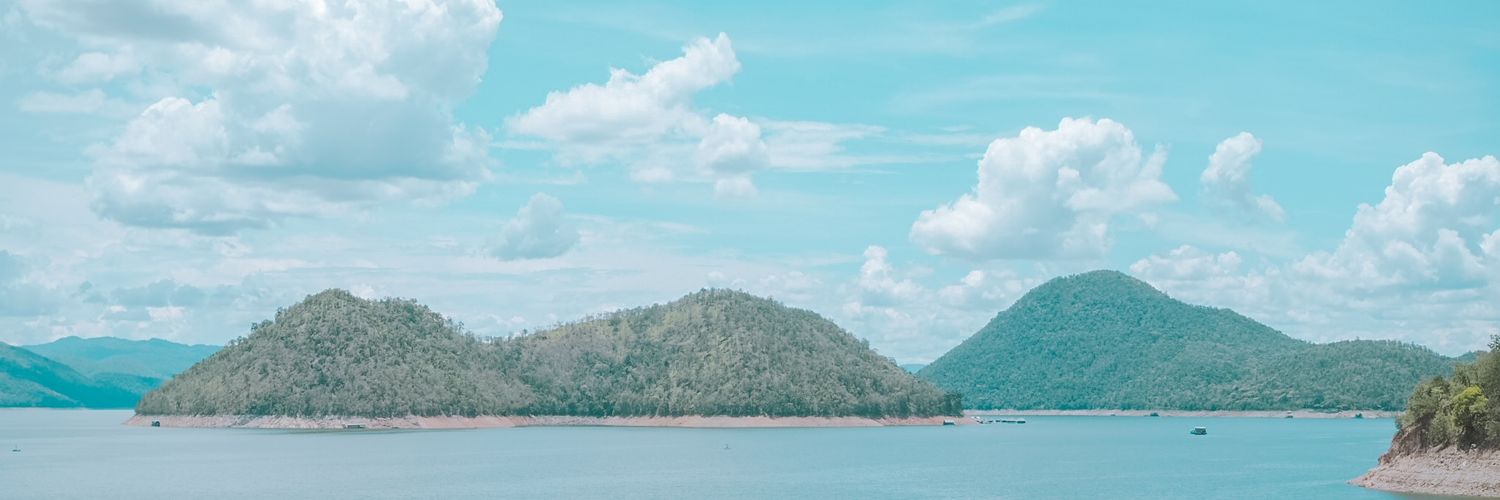 Fernery_'s profile banner image
