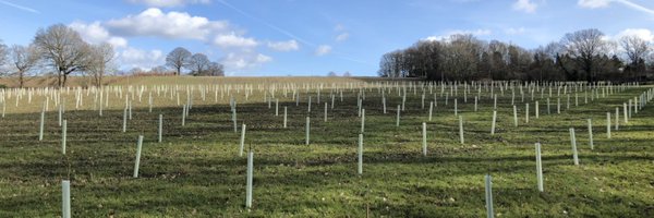 EnglishForestry Profile Banner