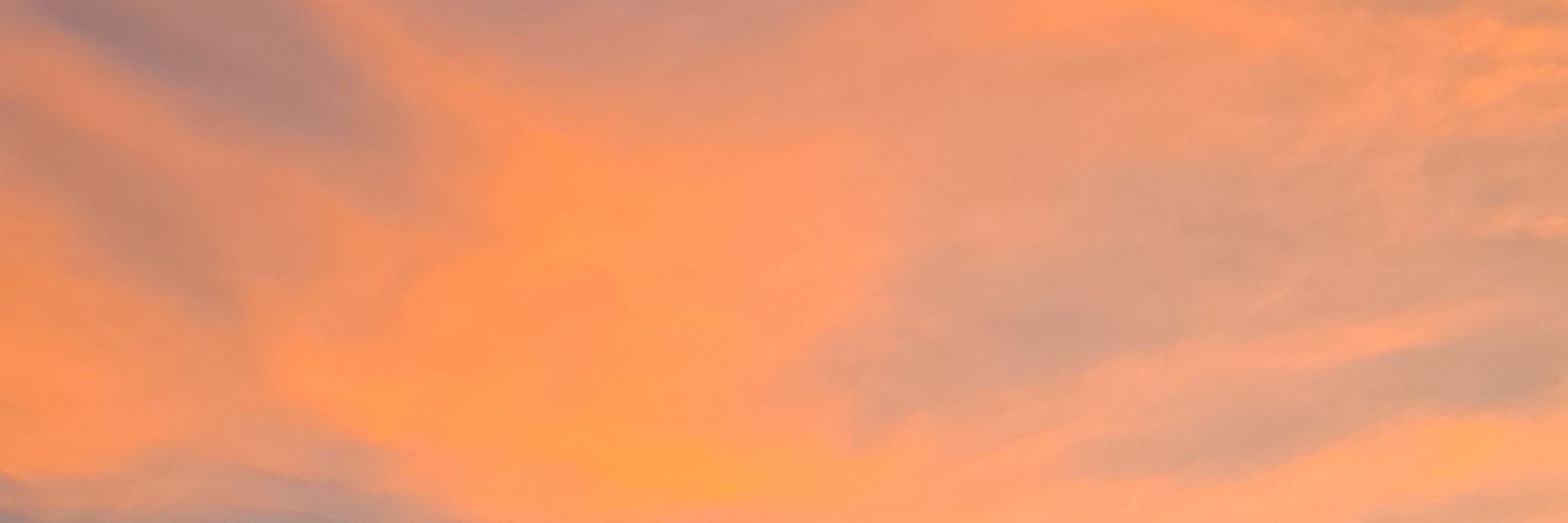 TheTruth1924's profile banner image