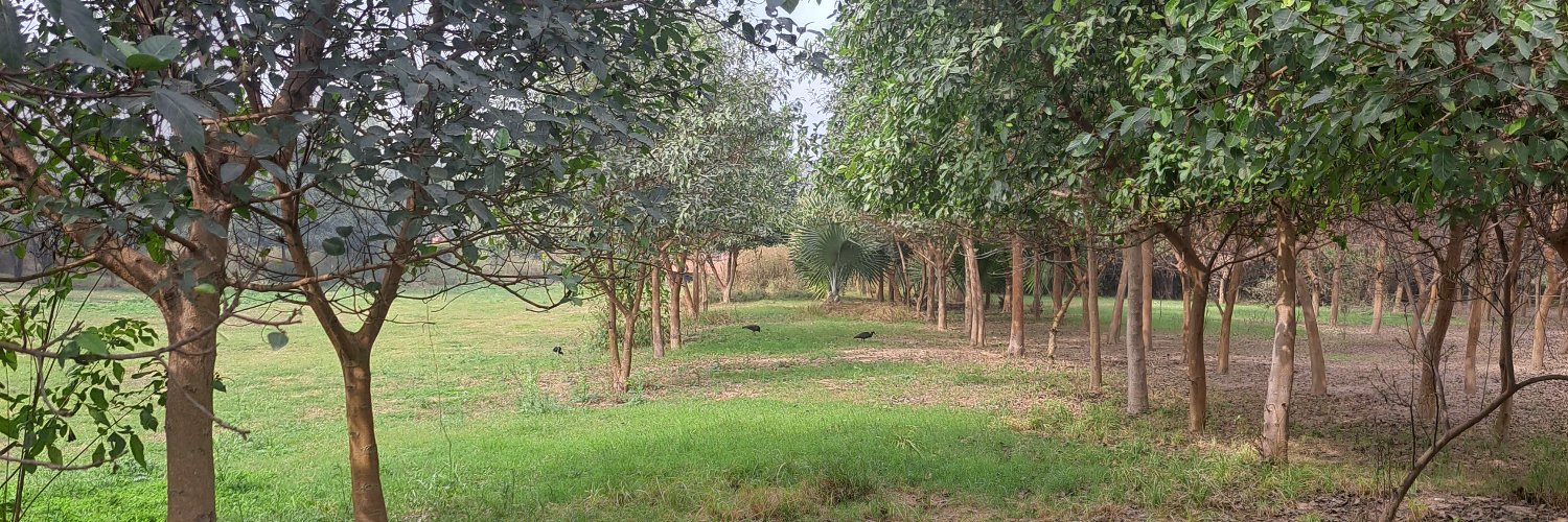 Another perspective 🤔🦋🦋 banner