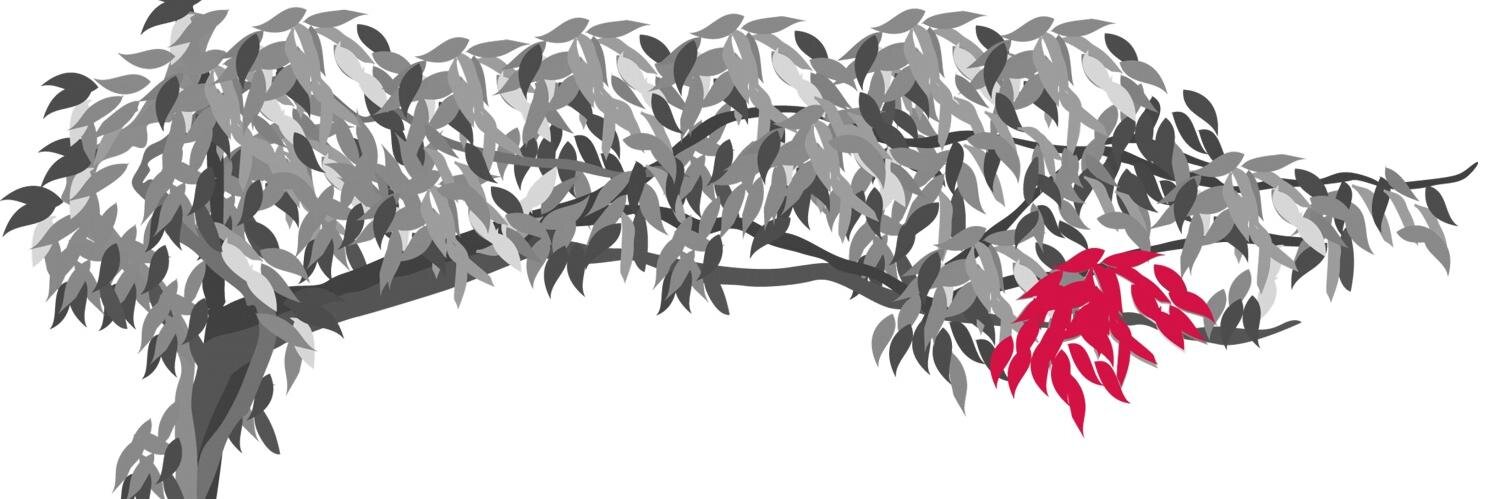 Scoffers Kitchen banner