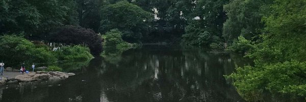 saketreddy Profile Banner