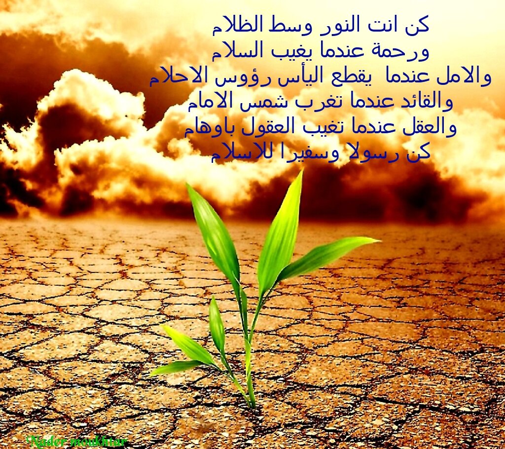 nadermoukhtar's profile banner image