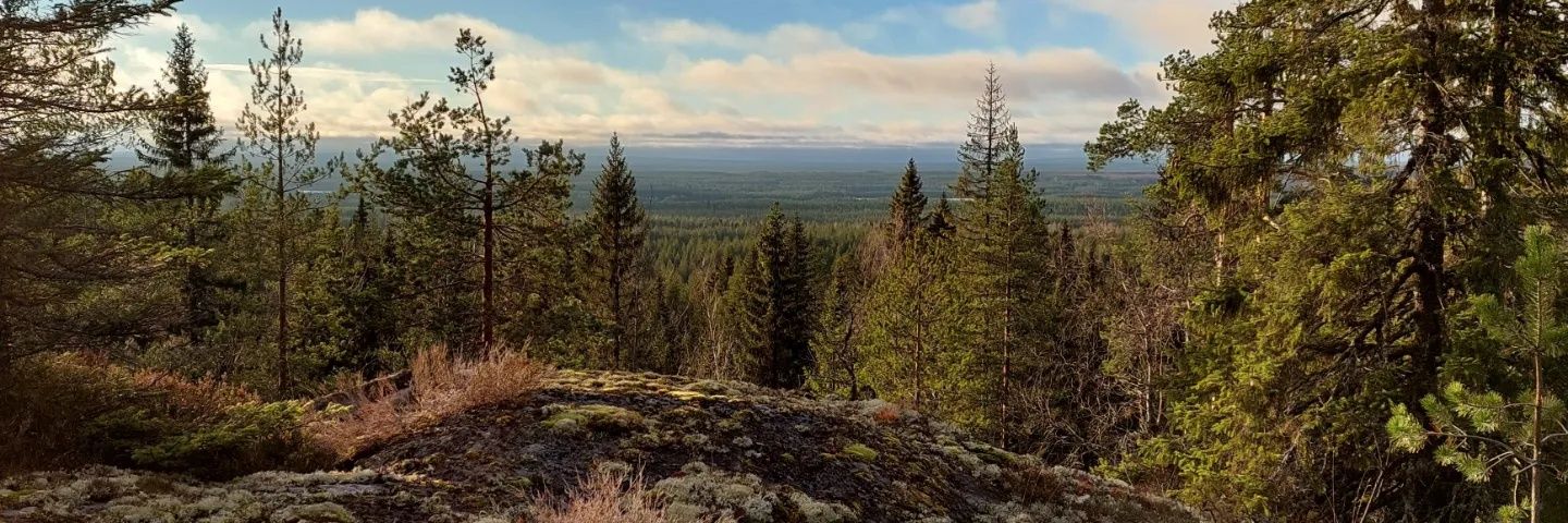 AnneKarhap's profile banner image