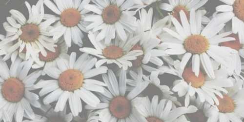 BeckySwain_'s profile banner image