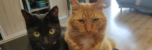 Osukarin Profile Banner