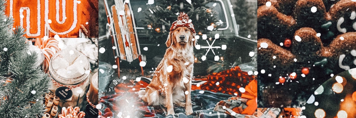 laurastapleton_'s profile banner image