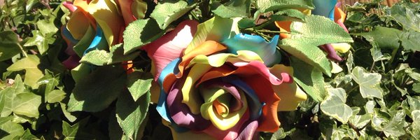 chataboutcakes Profile Banner