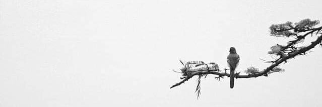 ABahar61's profile banner image