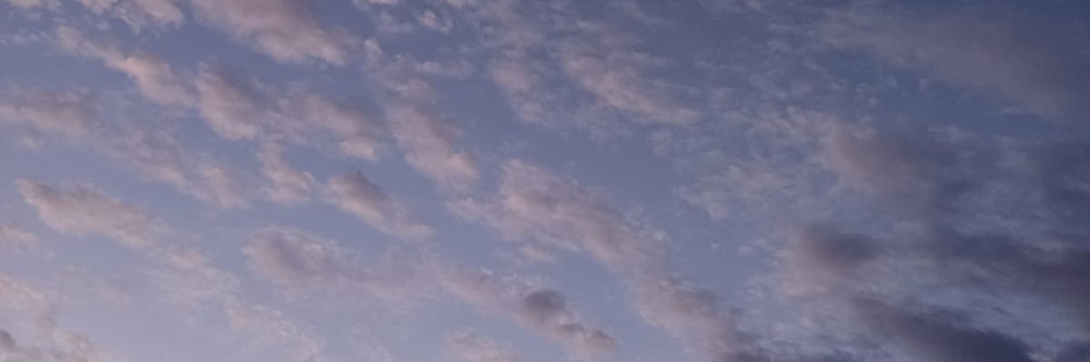 thebinflaytex's profile banner image