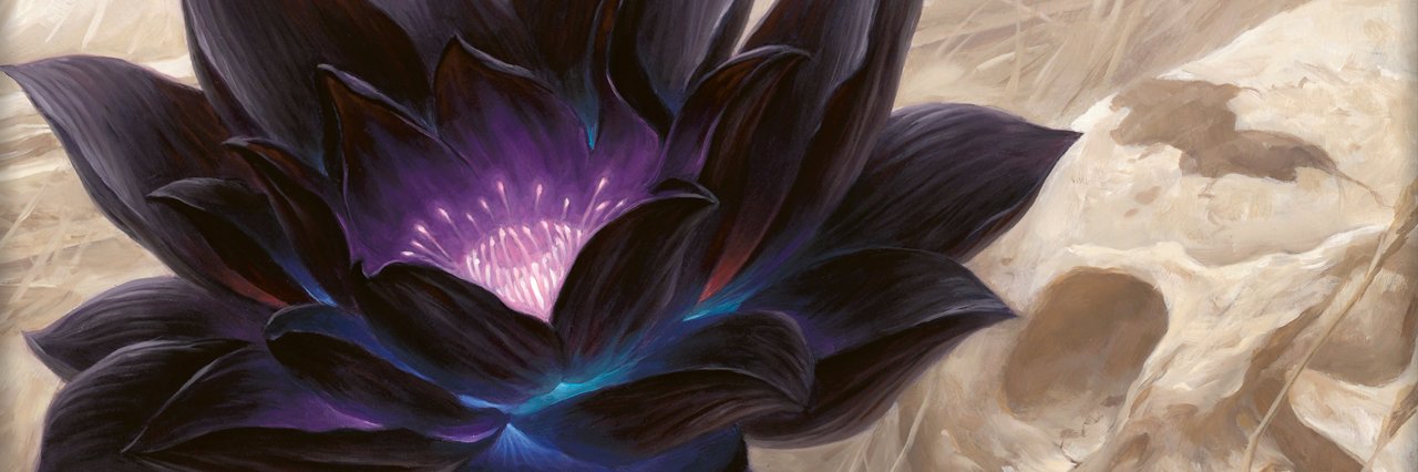 mukakan's profile banner image