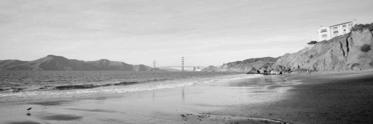 Rob Lew banner
