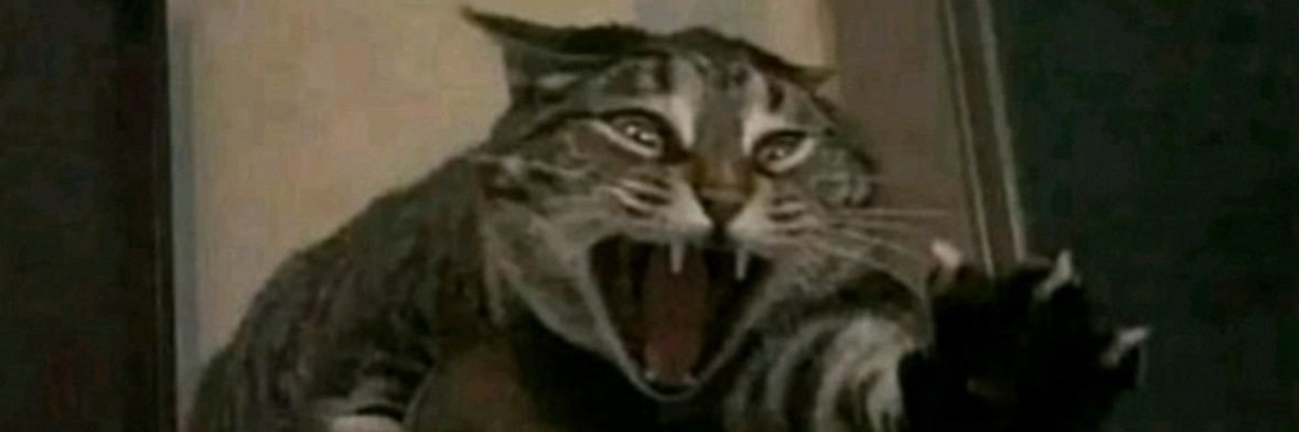 MiaHenry28's profile banner image