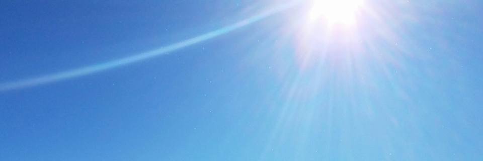 William D Murrell,MD banner