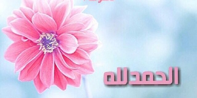 mmah2163's profile banner image