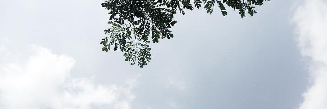 denaaristya's profile banner image