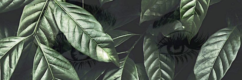 _fashnxgod's profile banner image