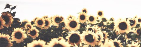 Harriet Oughton banner