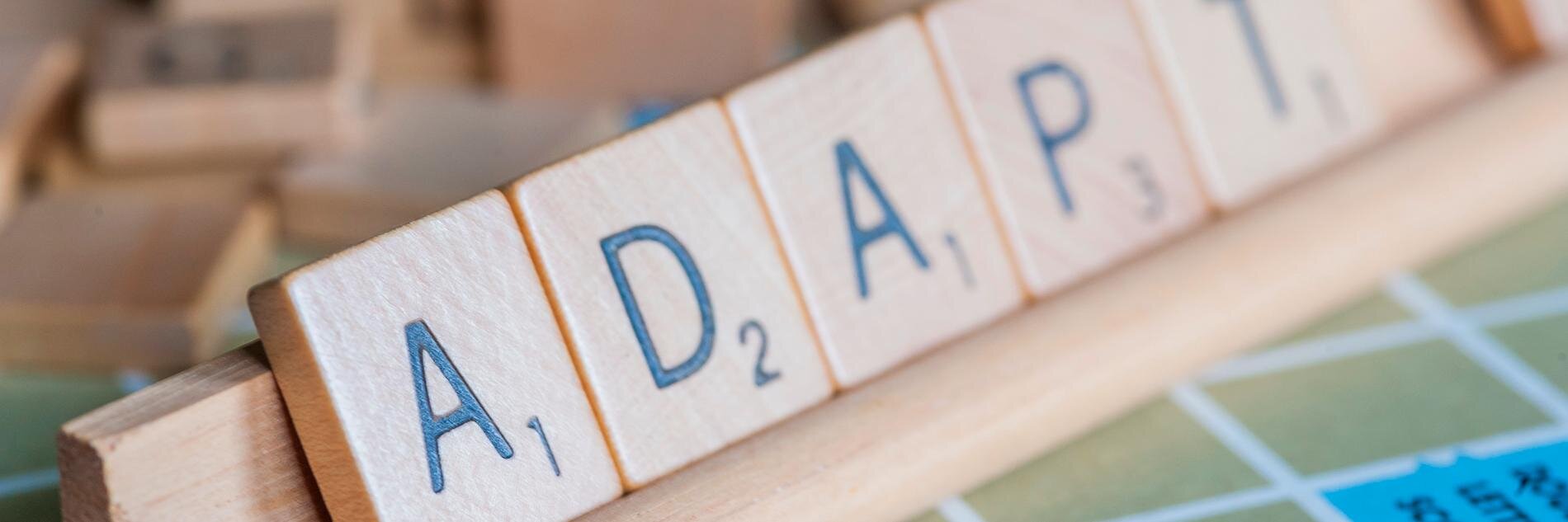 Adapt2Digital's profile banner image