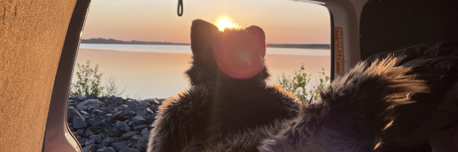 wetPaci's profile banner image