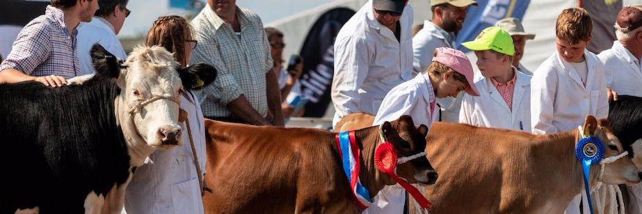 Royal Isle of Wight County Show banner