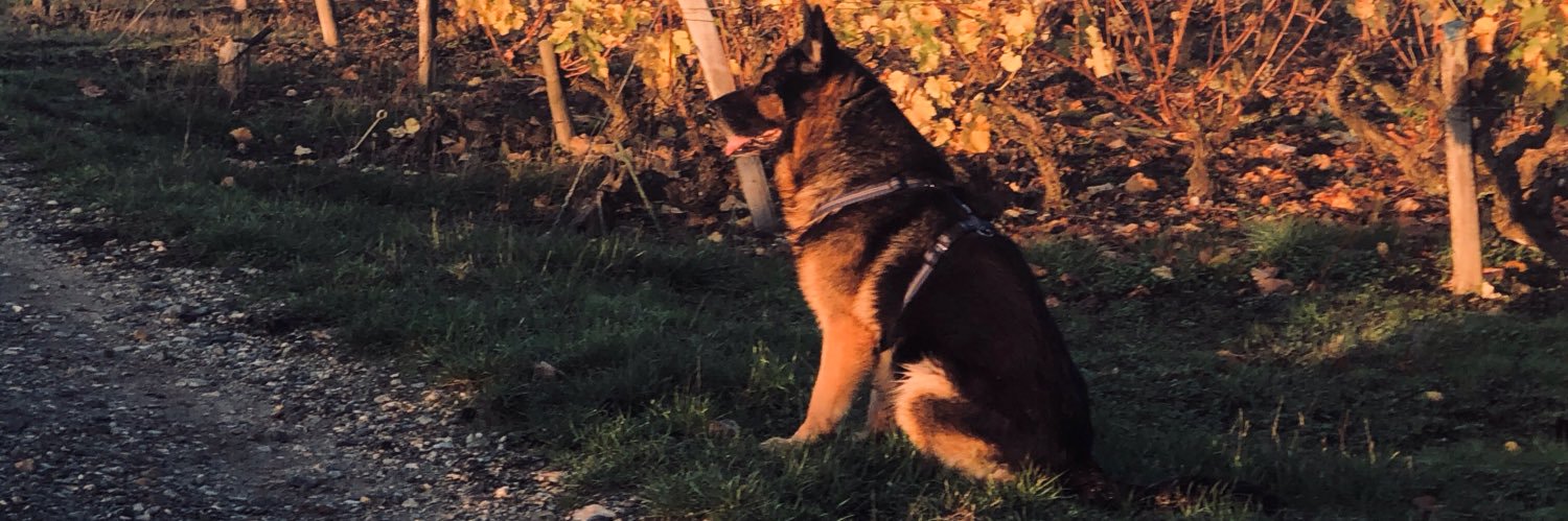 emmerdeur74's profile banner image