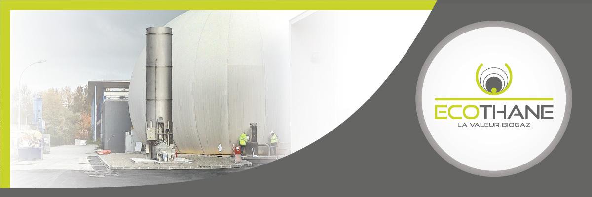 ecothane's profile banner image