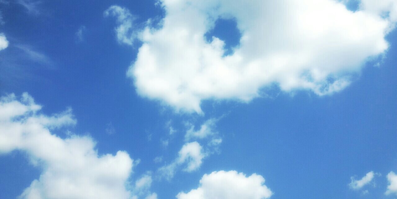 yal1020's profile banner image