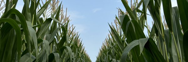 sprucedaleag Profile Banner