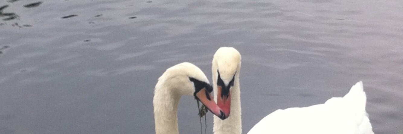 Wake up Warwick banner