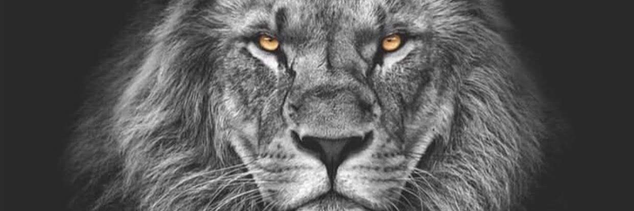 erhumuse's profile banner image