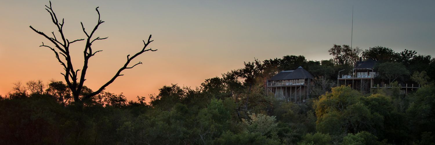 LeopardHills's profile banner image