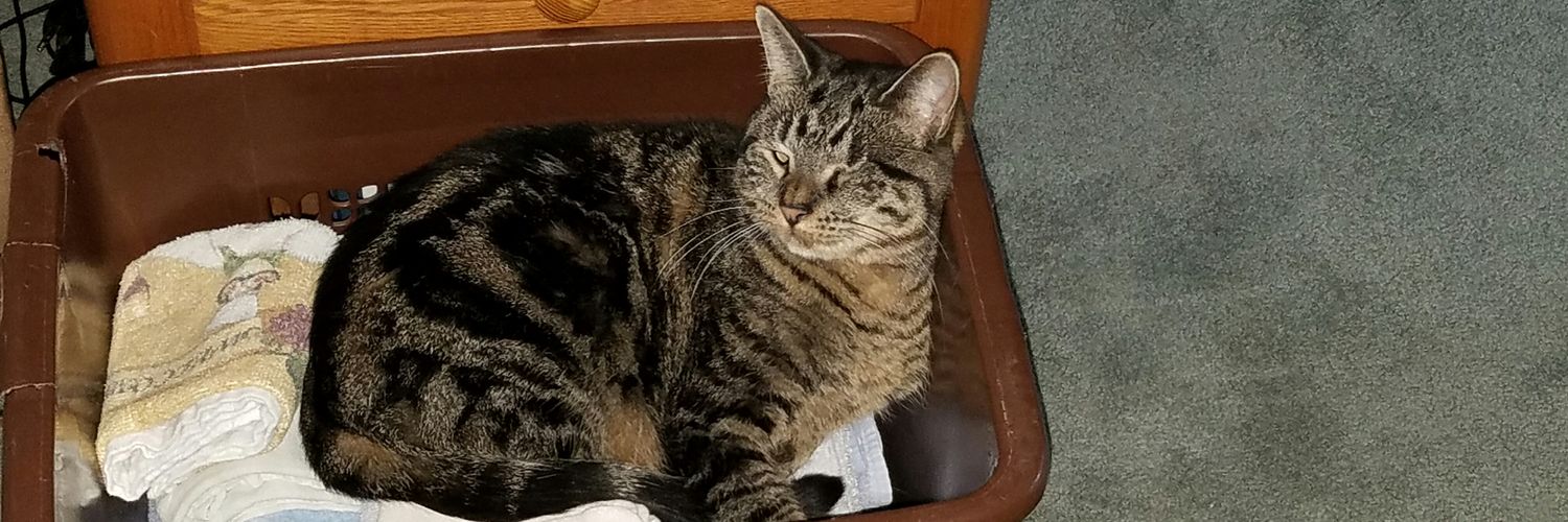 ms662640's profile banner image
