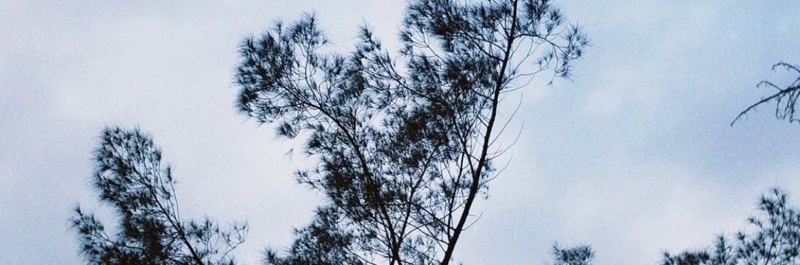 tavaresanalys's profile banner image