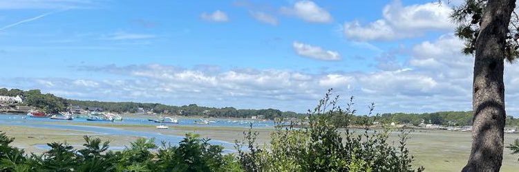 bruno barbier banner