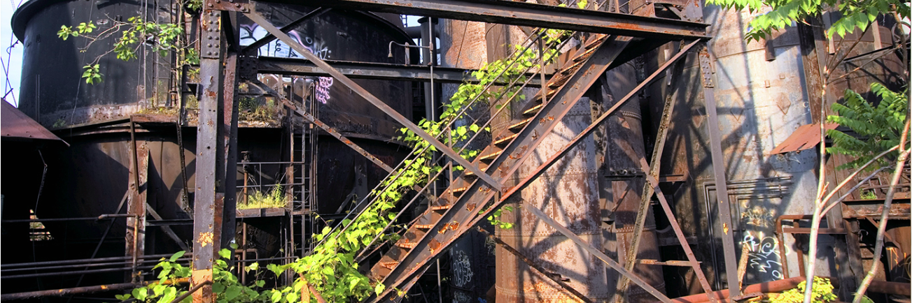 Regen Field Guide banner